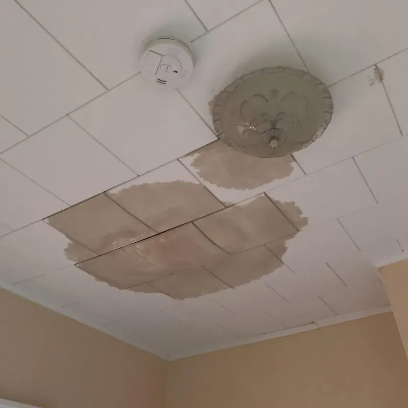 Ceiling Water Damage Repair in North Bay Shore, NY