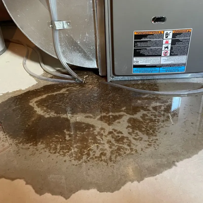 Pipe Burst and Leak Restoration in North Bay Shore, NY